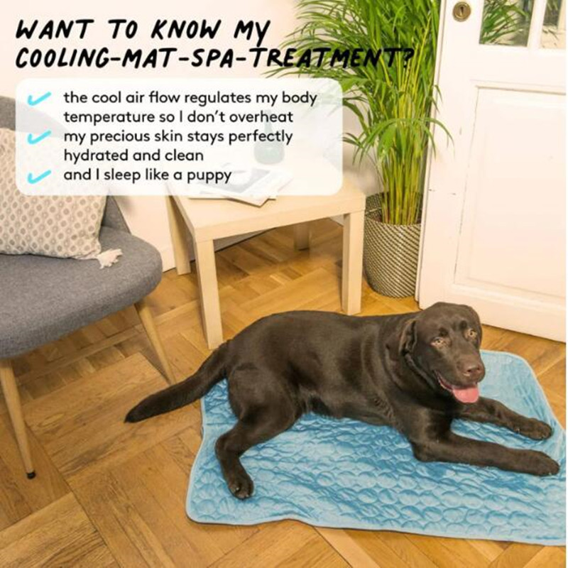 The Ultimate Cooling Pet Mat B - Cooling Blanket Hot Sleepers ulasan dan harga